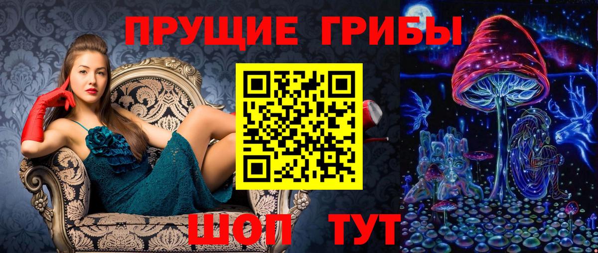 Псилоцибиновые грибы GOLDEN TEACHER Узловая
