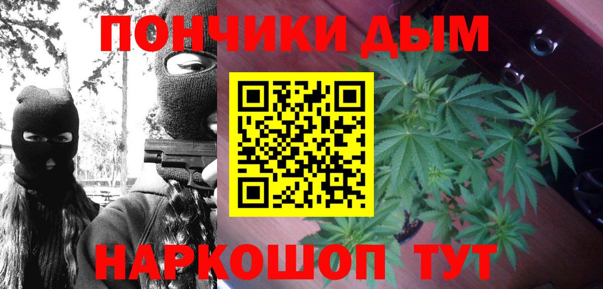 Узловая  МАРИХУАНА семена  Канабис гибрид  Вход с VPN  Конопля ГИДРОПОН 